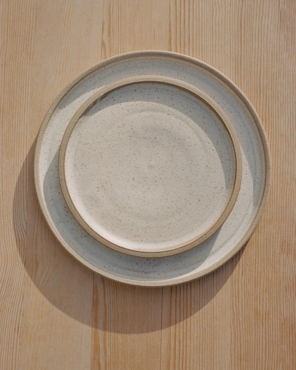 Viggo plate miljo